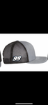 Gray Longhorn/ 99 hat